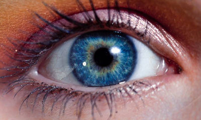 LA MANUTENZIONE DELLE LAC