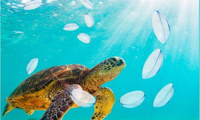 LENTI A CONTATTO: COME SMALTIRLE ?