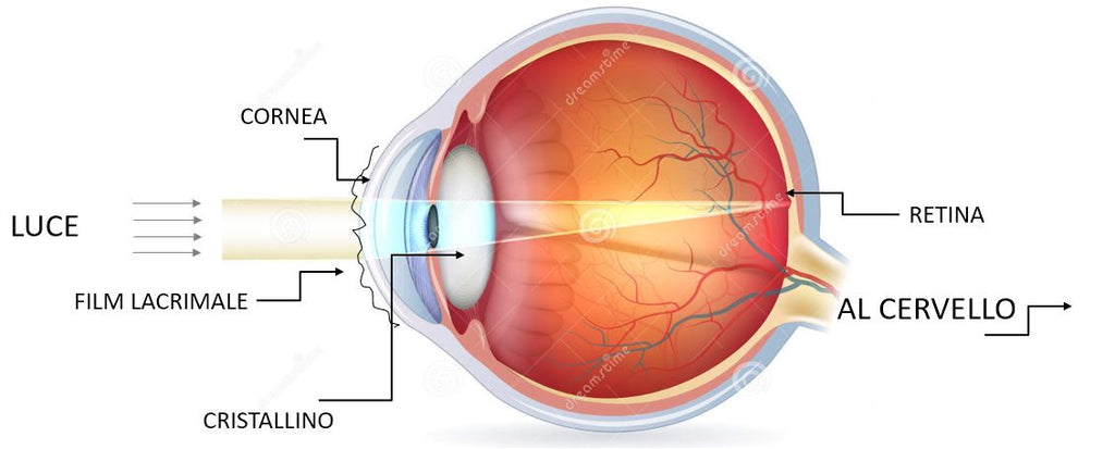 Prevenzione dai danni da esposizione solare