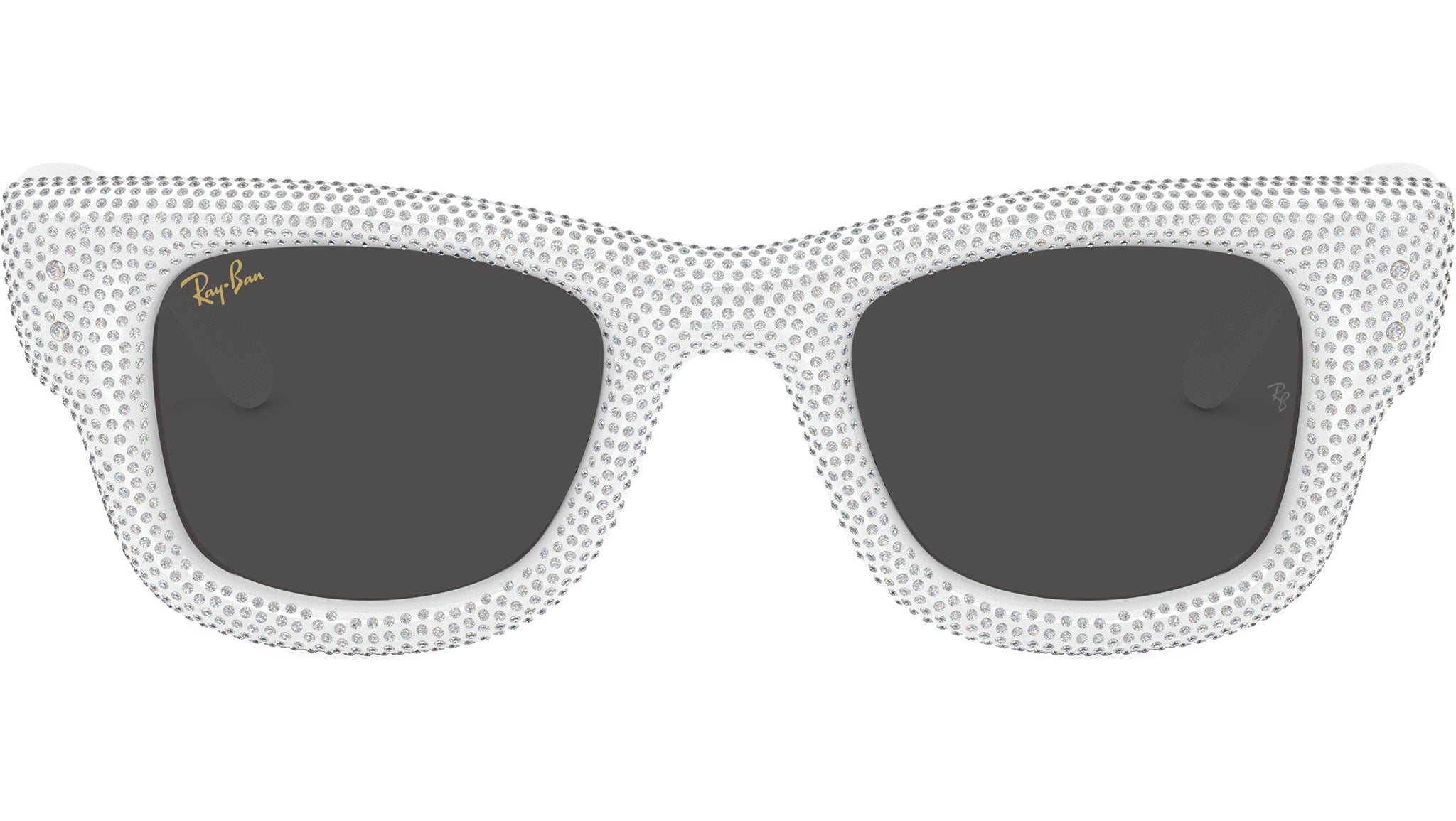 Wayfarer Puffer RB4940BP 686687