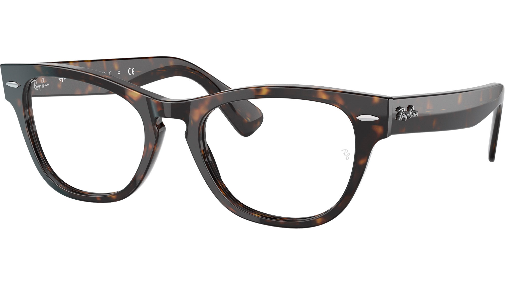 Laramie Optics RB2201V 2012