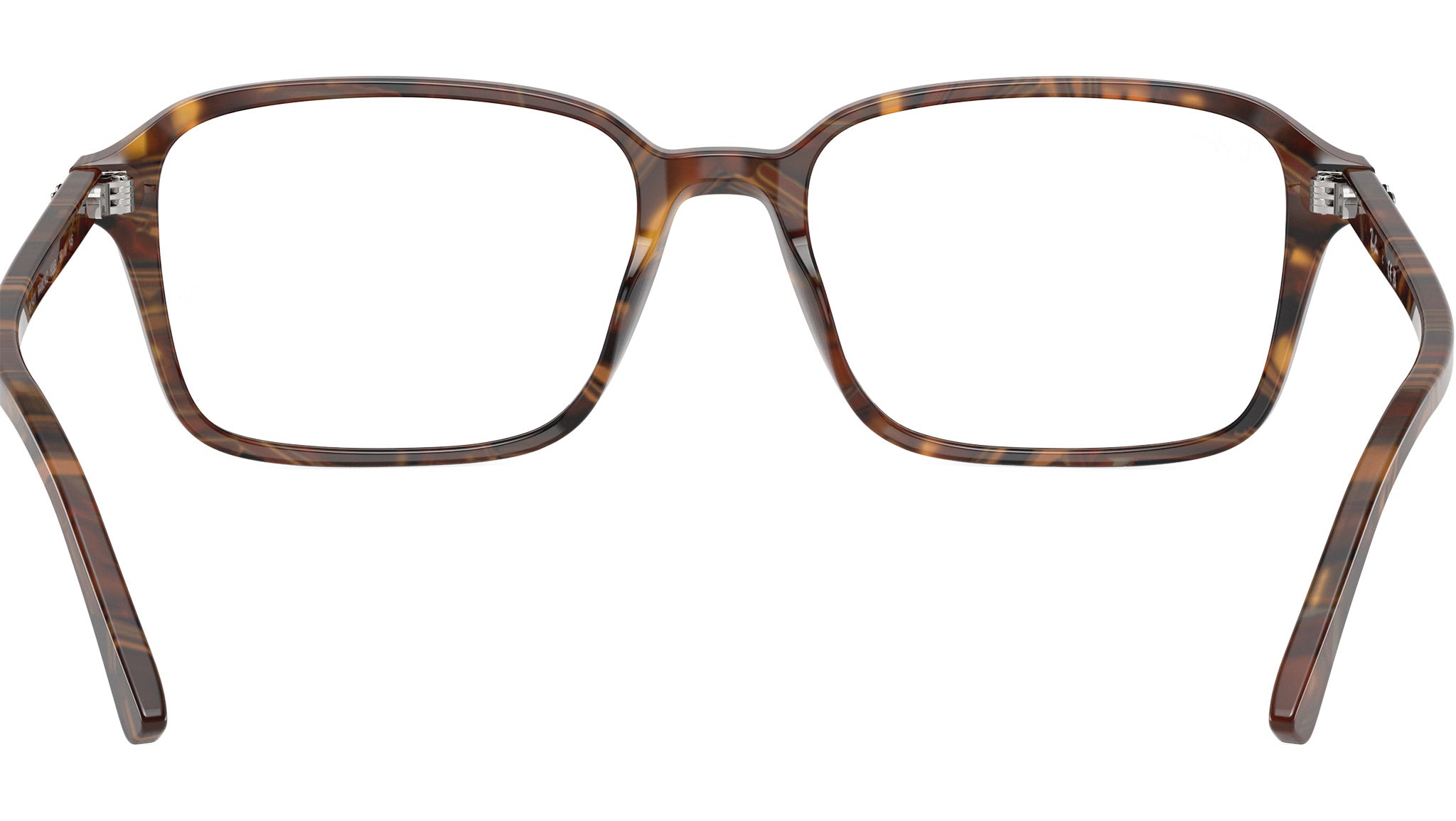 Raimond Optics RB5431 8395