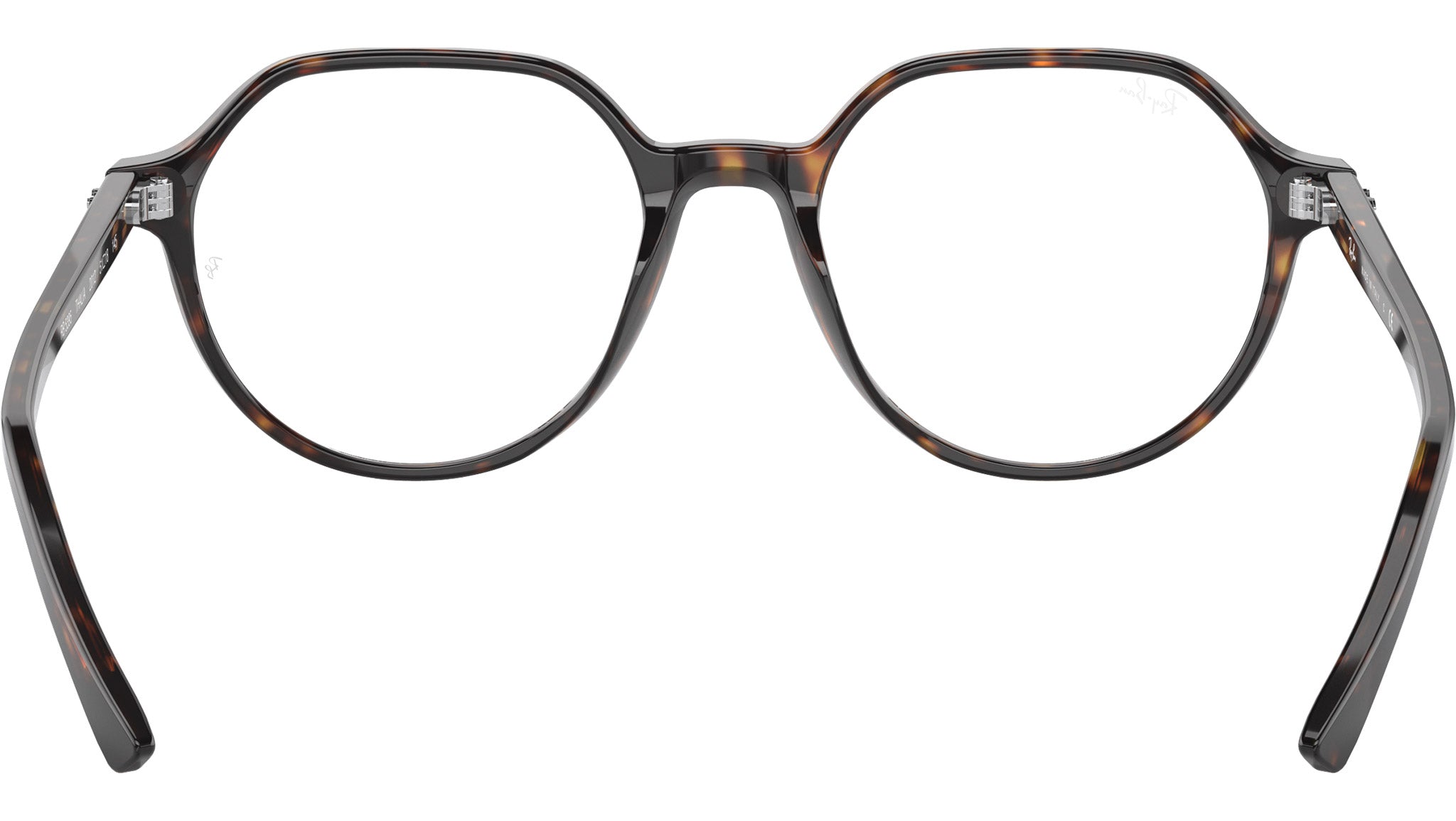 Thalia Optics RB5395 2012