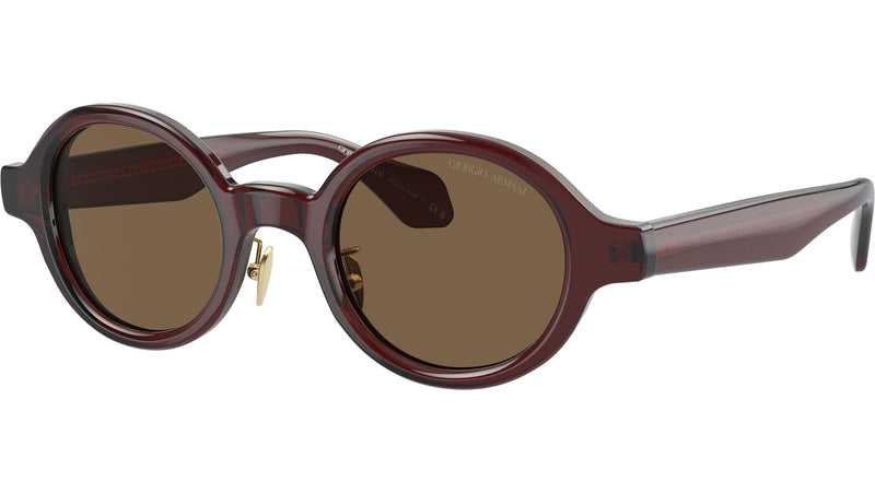 AR 8205 606273 Brown