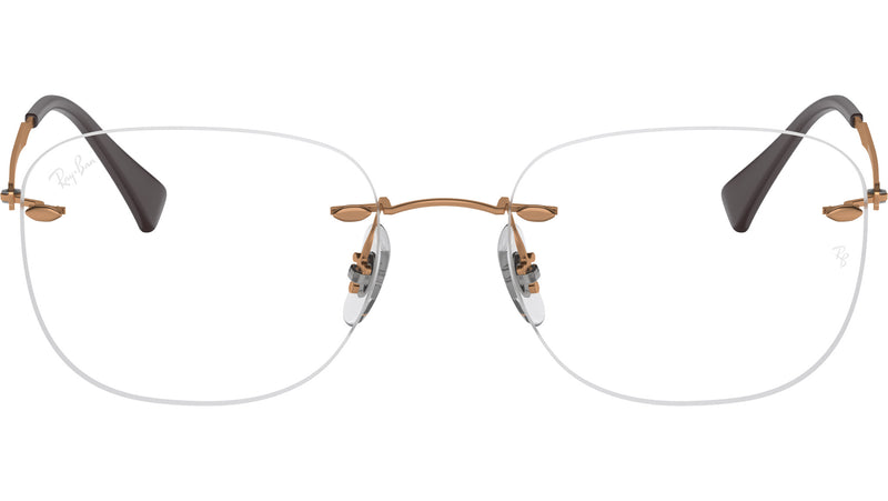 RB8748 Optics 1131