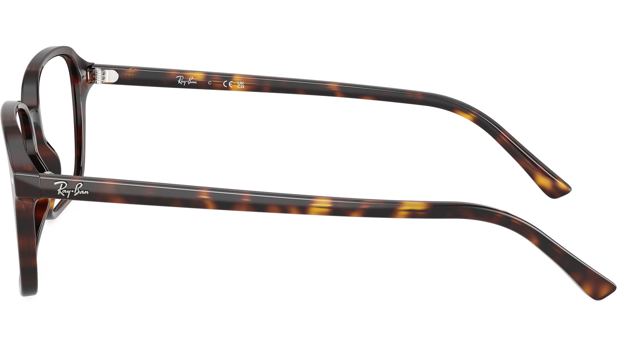 Raimond Optics RB5431 2012