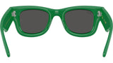 Wayfarer Puffer RB4940B 685987