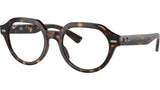 Gina Optics RB7214 2012