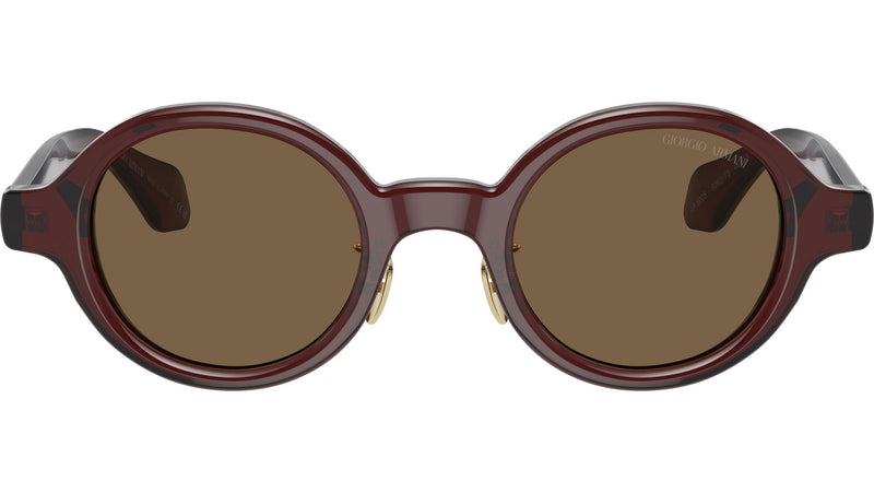 AR 8205 606273 Brown