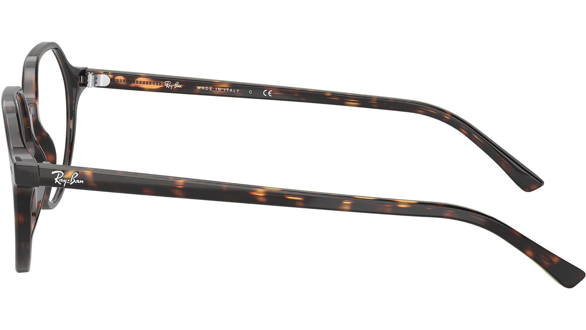 Thalia Optics RB5395 2012