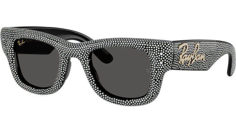 Wayfarer Puffer RB4940BP 686587