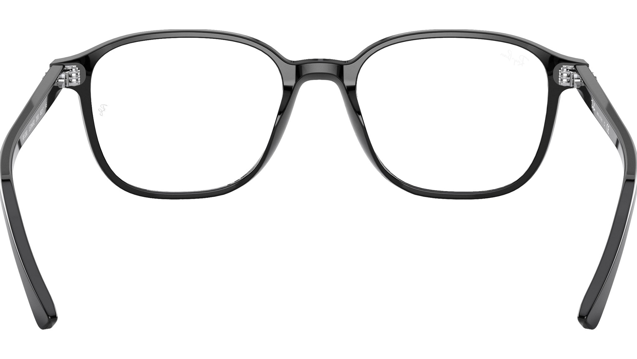 Leonard Optics RB5393 2000