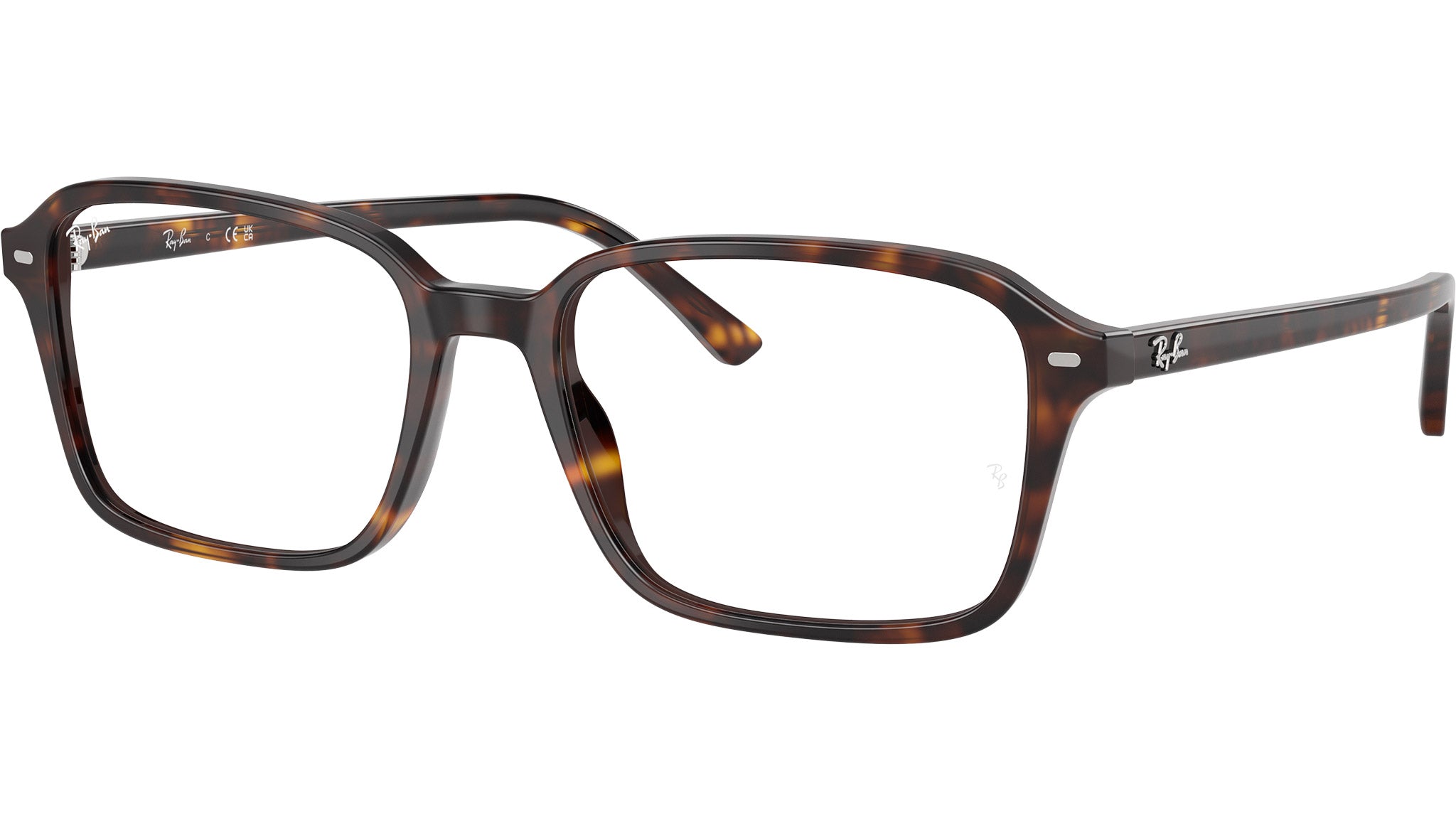 Raimond Optics RB5431 2012