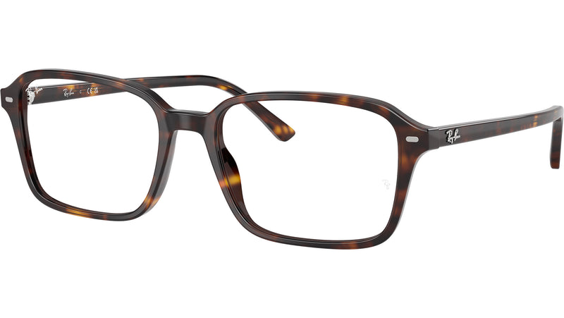 Raimond Optics RB5431 2012