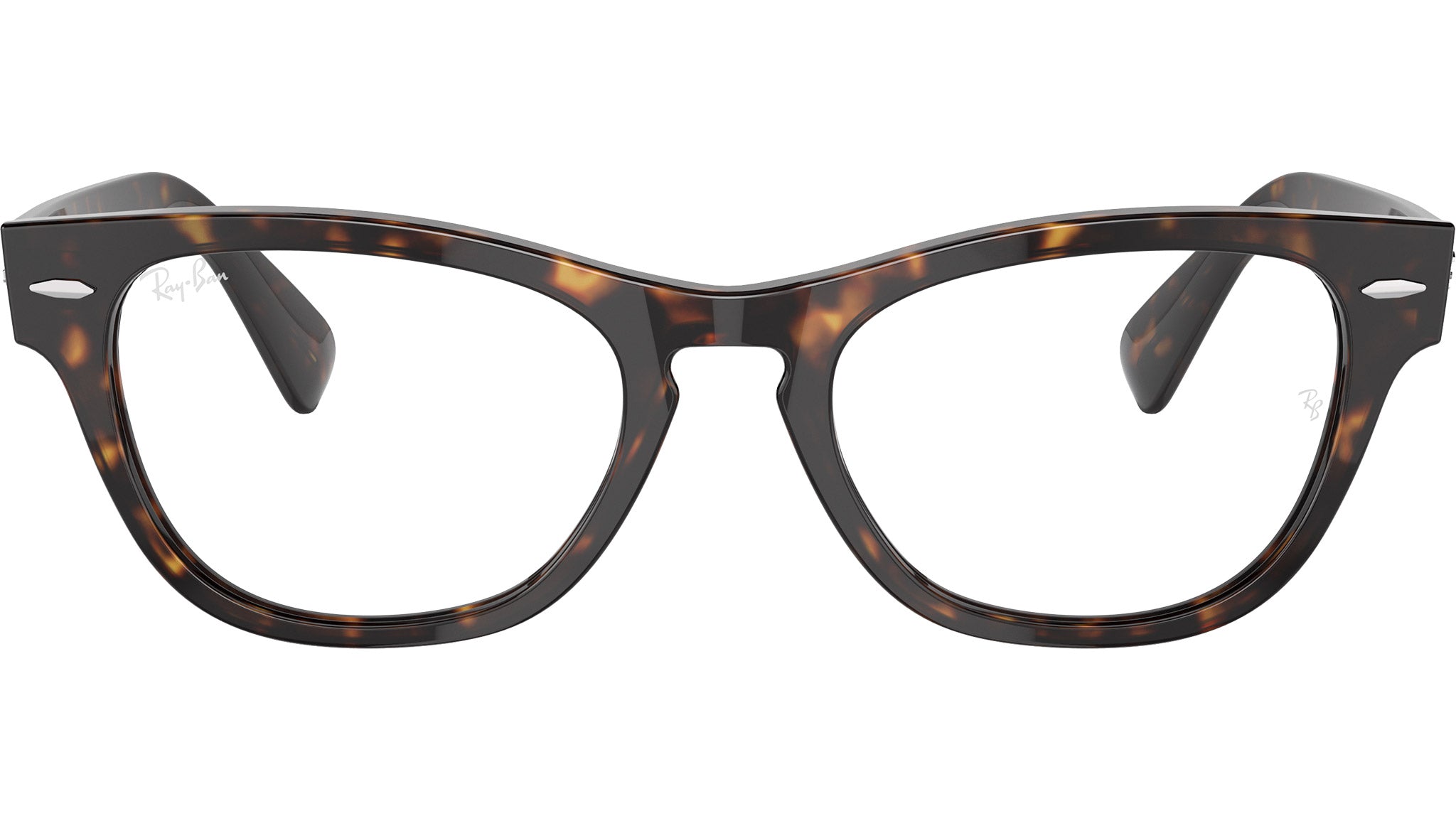 Laramie Optics RB2201V 2012