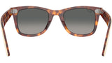 Wayfarer Street Neat RB2240 144371