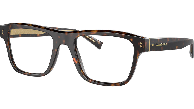 DG 3362 502 tortoise