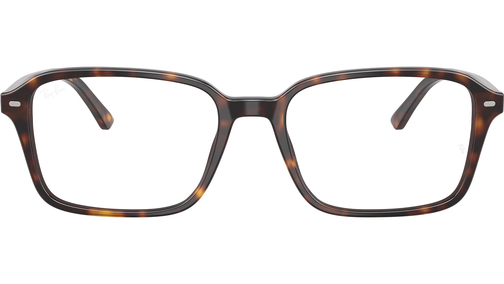 Raimond Optics RB5431 2012