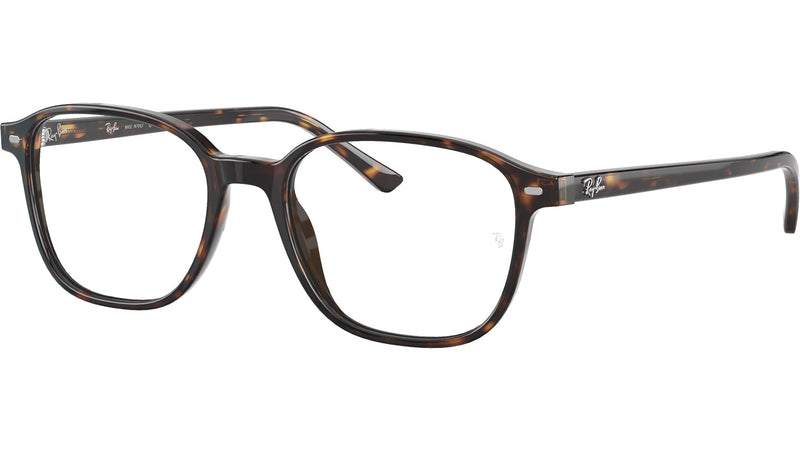 Leonard Optics RB5393 2012