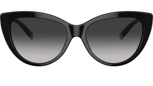 TF4196 80013C Black