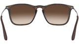 Chris RB4187 tortoise