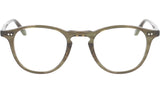 Hampton Olive Tortoise