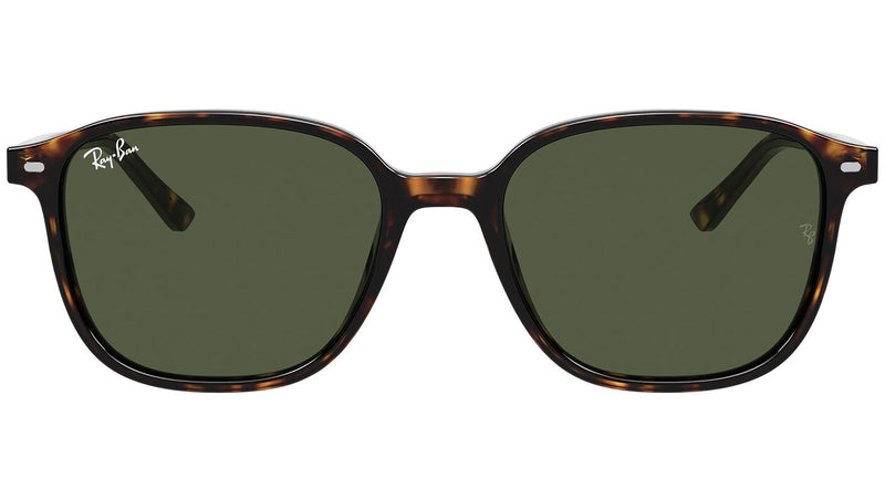 Leonard RB2193 tortoise