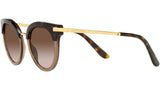 DG 4394 325613 tortoise