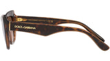 DG 4417 325613 tortoise