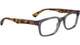 RB5286 Optics 5629