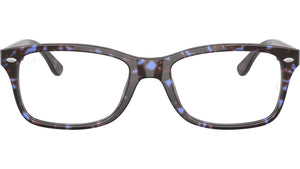 RB5228 Optics 8424
