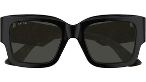 GG1663S 001