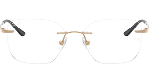 RB8783D Optics 1248