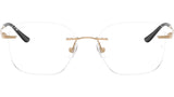 RB8783D Optics 1248