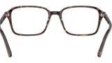 Raimond Optics RB5431 2012