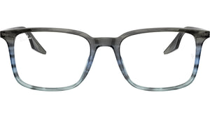 RB5421 Optics 8254
