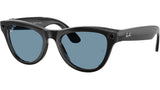 RW4010 601/MF Black