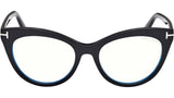 FT6091-B 001