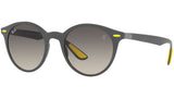 RB4296M F60811 matte grey