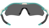 Radar Plate OO9495D 04