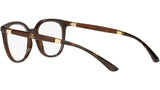 DG 5080 3185 tortoise