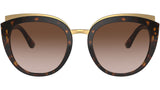 DG 4383 502/13 tortoise