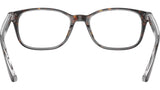RB5375 Optics 5082
