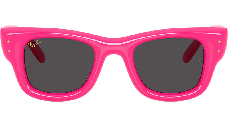 Wayfarer Puffer RB4940 683287