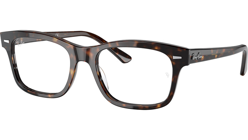 Mr Burbank Optics RB5383 2012