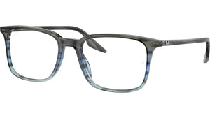 RB5421 Optics 8254