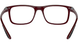 RB7222M Optics F681