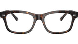 Mr Burbank Optics RB5383 2012
