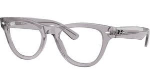 RB5510 Optics 2102