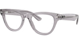 RB5510 Optics 2102
